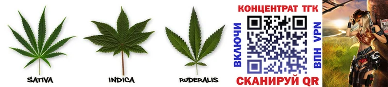 закладка  Пестово  Дистиллят ТГК THC oil 